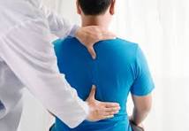 A professional chiropractor examining a patient's back.